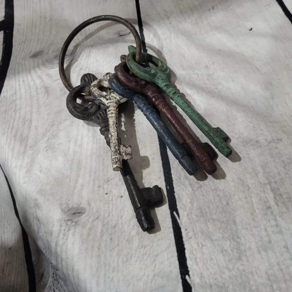 Vintage Style Multicolor Cast Iron Key Wall Decor